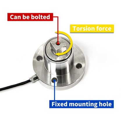 Torque sensor with touchscreen display, data export and curve visualization